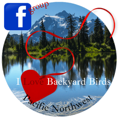 I Love Pacific Northwest backyard Birds Facebook group
