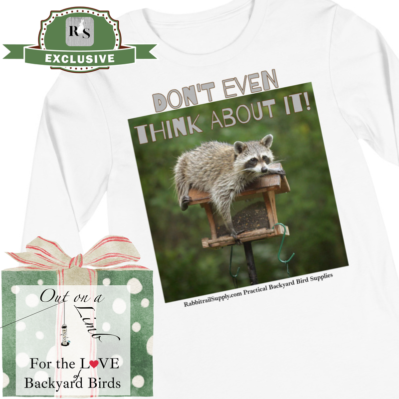 Don't even think about it! Pesky Racoon stealing from your bird feeder, perfect bird lover gift