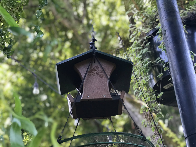 Squirrel Proof Out on a Limb Pulley System for Bird Feeder